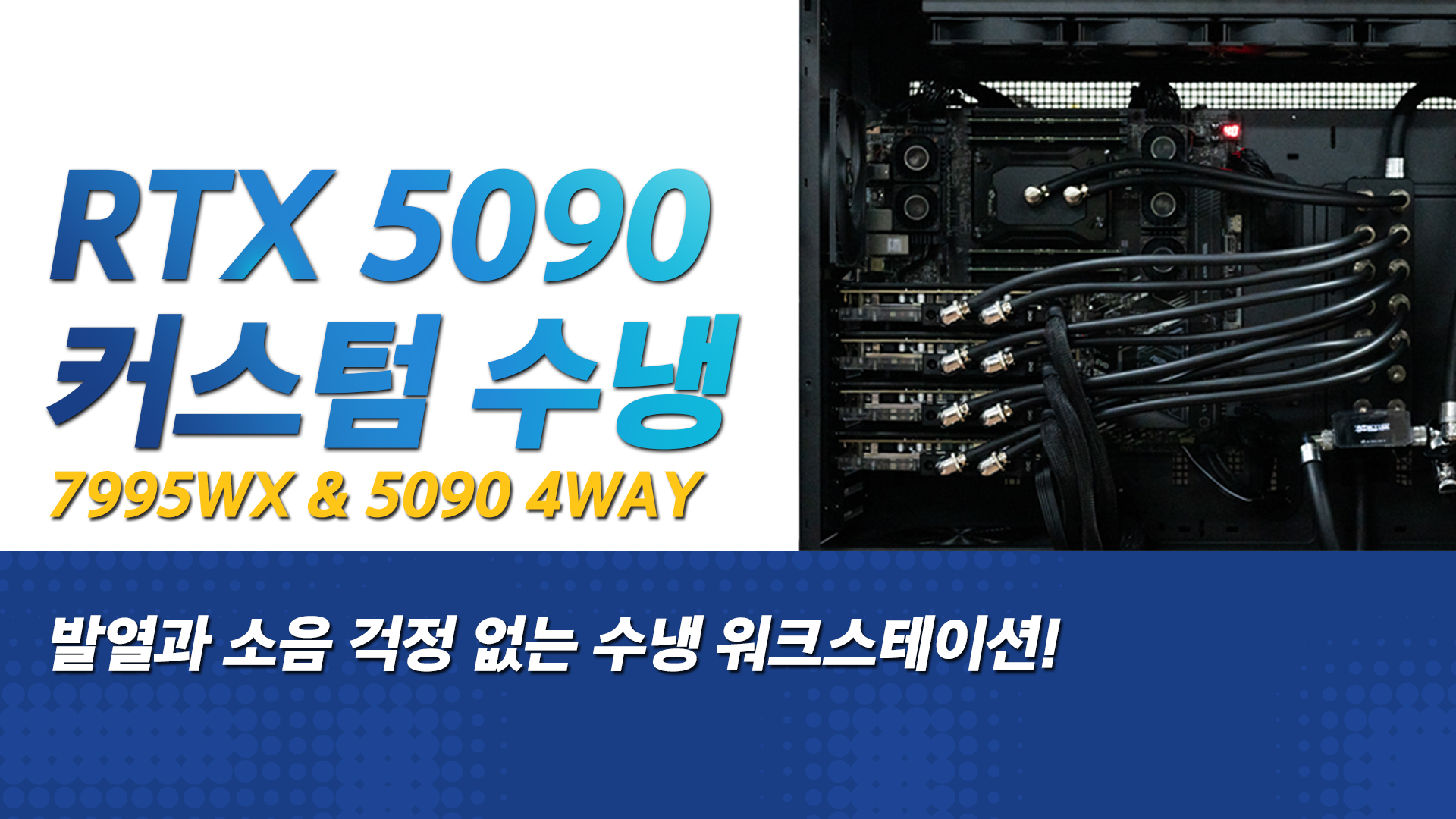 뉴스